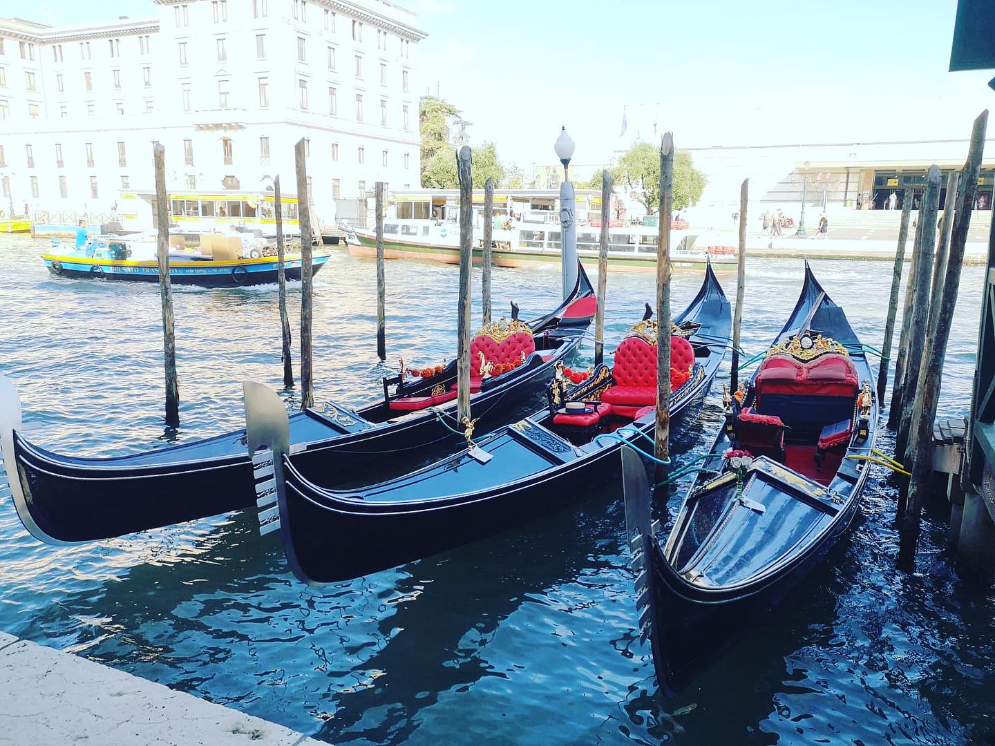 Ready, set, GO!
Ask the concierge to book your exclusive gondola ride!
#Venezia #veneziaunica #veneziadavivere #veneziagram #veneziacityitaly #veneziaautentica #veneziacityofficial #venezia360 #veneziatoday #veneziaitalia #veneziamagica
