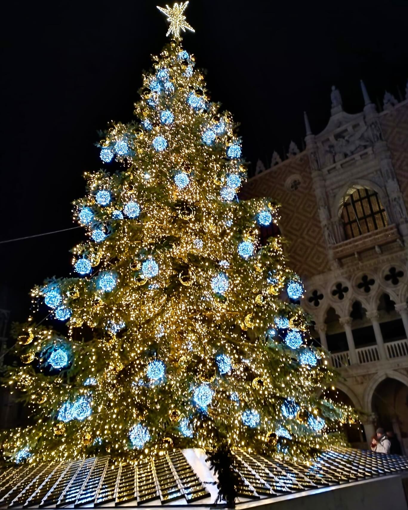 Do you believe there are trees in Venice??
There it is!?
Be ready to be blinded by our beautiful Christmas tree!?✨
#hotelantichefigure #venice #christmas #christmasinvenice #christmastree #veniceitaly #venezia #italy #igers #top #post #postoftheday #ig #ig_venezia #beautifuldestinations #canalgrande