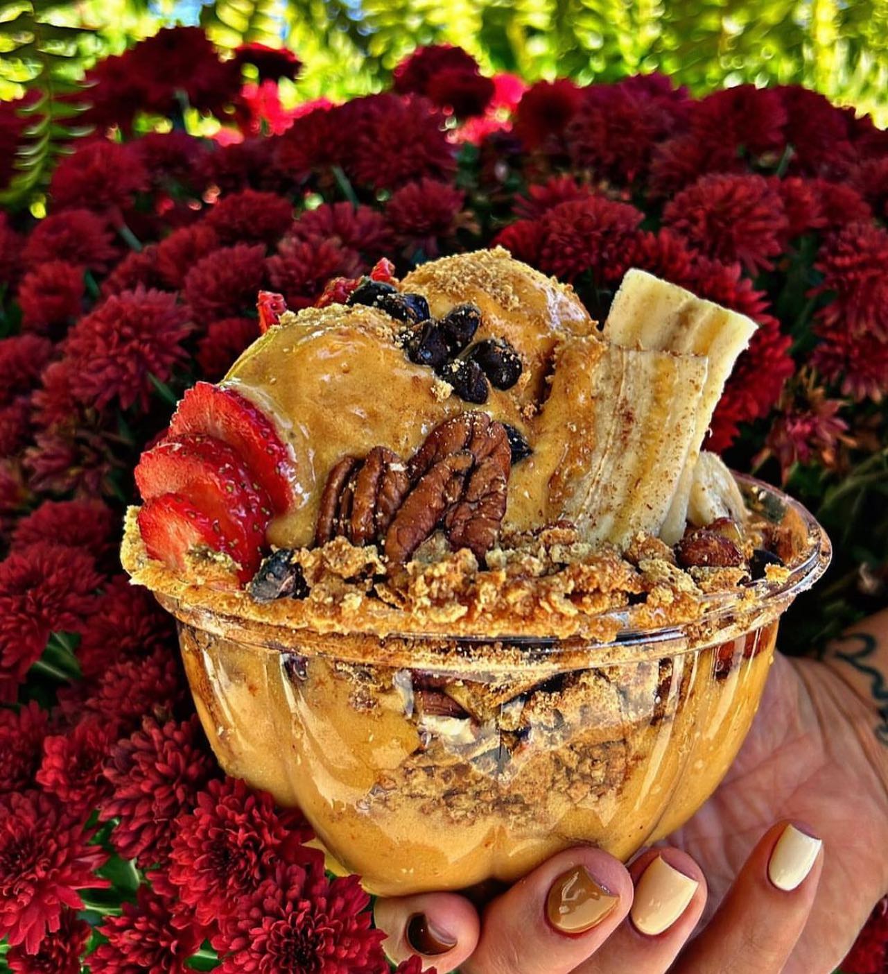 We heard you liked PUMPKIN 🎃🎃🎃 ITS BACK!
You MUST try our NEWEST PUMPKIN BOWL SPECIAL.. 🍁🍁🍁🍂 We’re so excited about this bowl having so many GREAT reviews in house sorbet tastings... You’ve seen it here FIRST 👀
Made VEGAN FRIENDLY 🌱 
📍Plan your trip NOW 🤤 😋