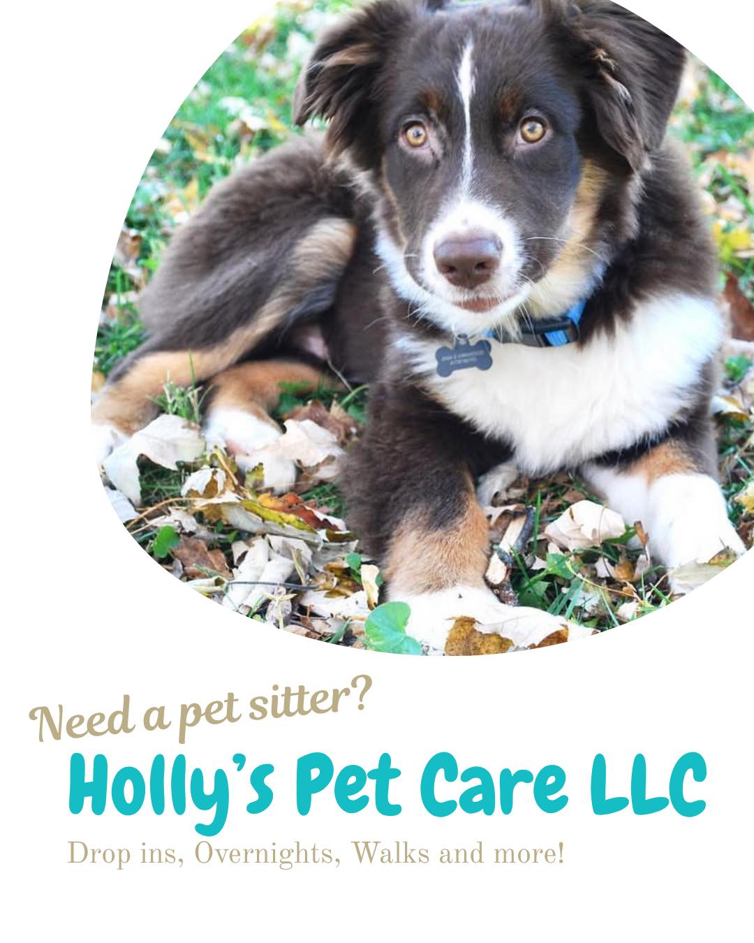 Happy national dog day!