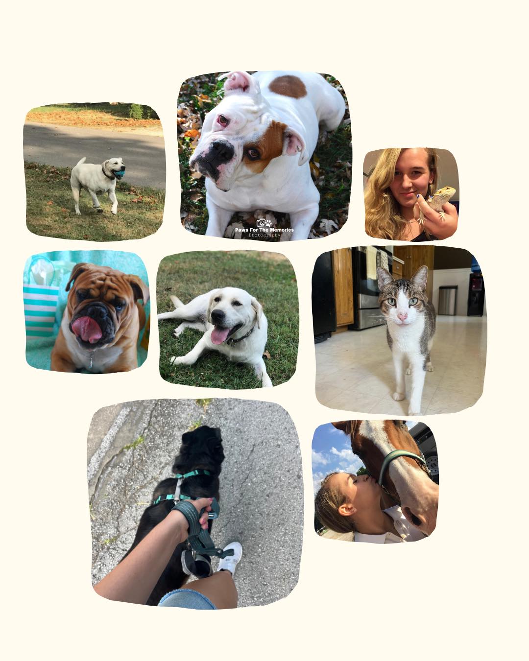 We love our clients!