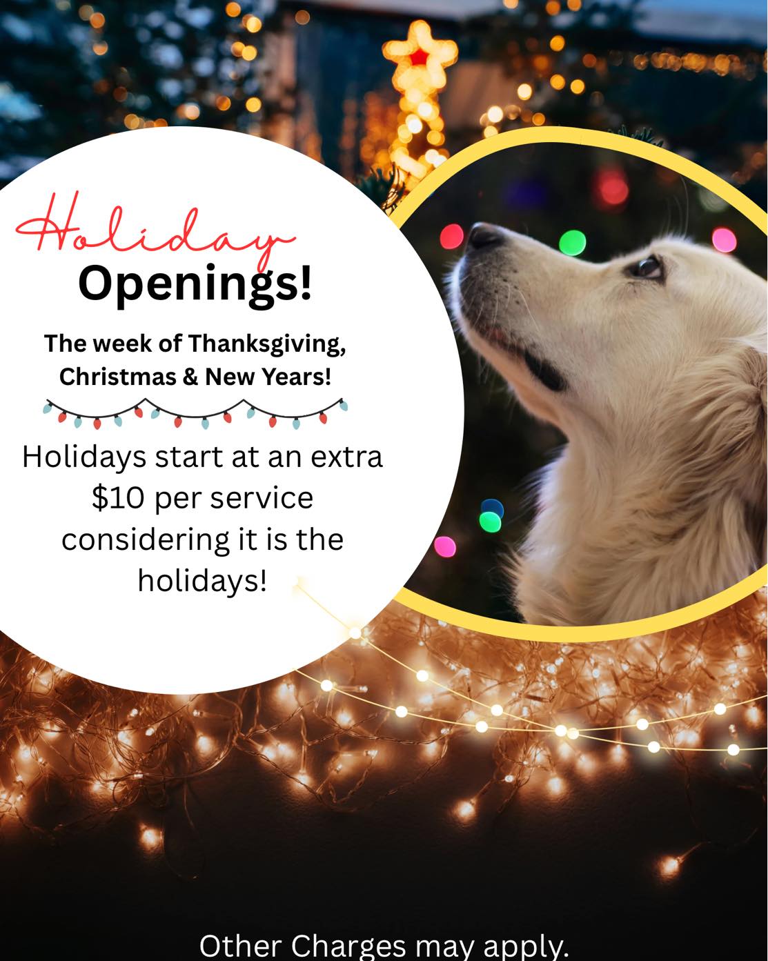 Holiday stops are still open for my furry friends be sure to get them soon!
