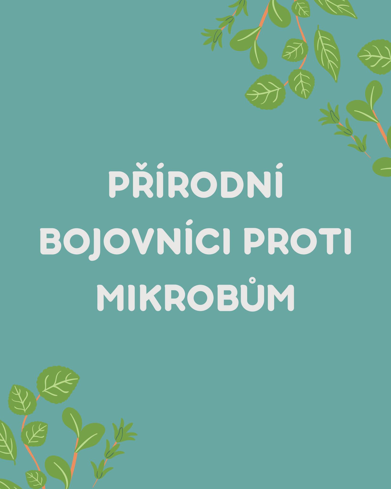 🌿 Přírodní bojovníci proti mikrobům
Věděli jste, že boj proti bakteriím nemusí být jen o syntetických antibiotikách? Lidé po staletí používali rostliny, koření a med, aby chránili tělo před infekcemi. Současné výzkumy ukazují, že to opravdu funguje!
🍯 Med - nejen sladký, ale i léčivý. Pomáhá hojit rány, udržuje je vlhké a některé druhy, jako manuka, působí i proti odolným bakteriím.
🐝 Propolis - obsahuje fenolické látky a flavonoidy, které působí synergicky, a tak výrazně zvyšují antibakteriální účinek, hlavně proti Gram-pozitivním bakteriím, jako je Staphylococcus aureus.
🧄 Česnek – obsahuje allicin, který narušuje buněčné membrány bakterií a brání jejich množení. Dokáže zpomalit růst některých patogenů a má mírný antimykotický účinek.
🌿 Bylinky a koření – bazalka, tymián a oregano obsahují esenciální oleje, které působí proti bakteriím i plísním.
🌸 Hřebíček - eugenol v hřebíčku působí antibakteriálně a antifungálně, zpomaluje růst patogenů, včetně některých odolných kmenů.
⚠️ Pozor! Přírodní látky nejsou náhradou antibiotik. Při vážné infekci vždy vyhledejte lékaře a antibiotika užívejte přesně podle doporučení. Tyto přírodní „pomocníky“ můžete využít jako prevenci nebo doplněk zdravého životního stylu.
📚 Zdroje: https://pubmed.ncbi.nlm.nih.gov/10594976/
https://pubmed.ncbi.nlm.nih.gov/23569748/
https://pubmed.ncbi.nlm.nih.gov/27994215/
https://pubmed.ncbi.nlm.nih.gov/28346030/
#antibiotickarezistence #rezistence #Edukace #antibiotika