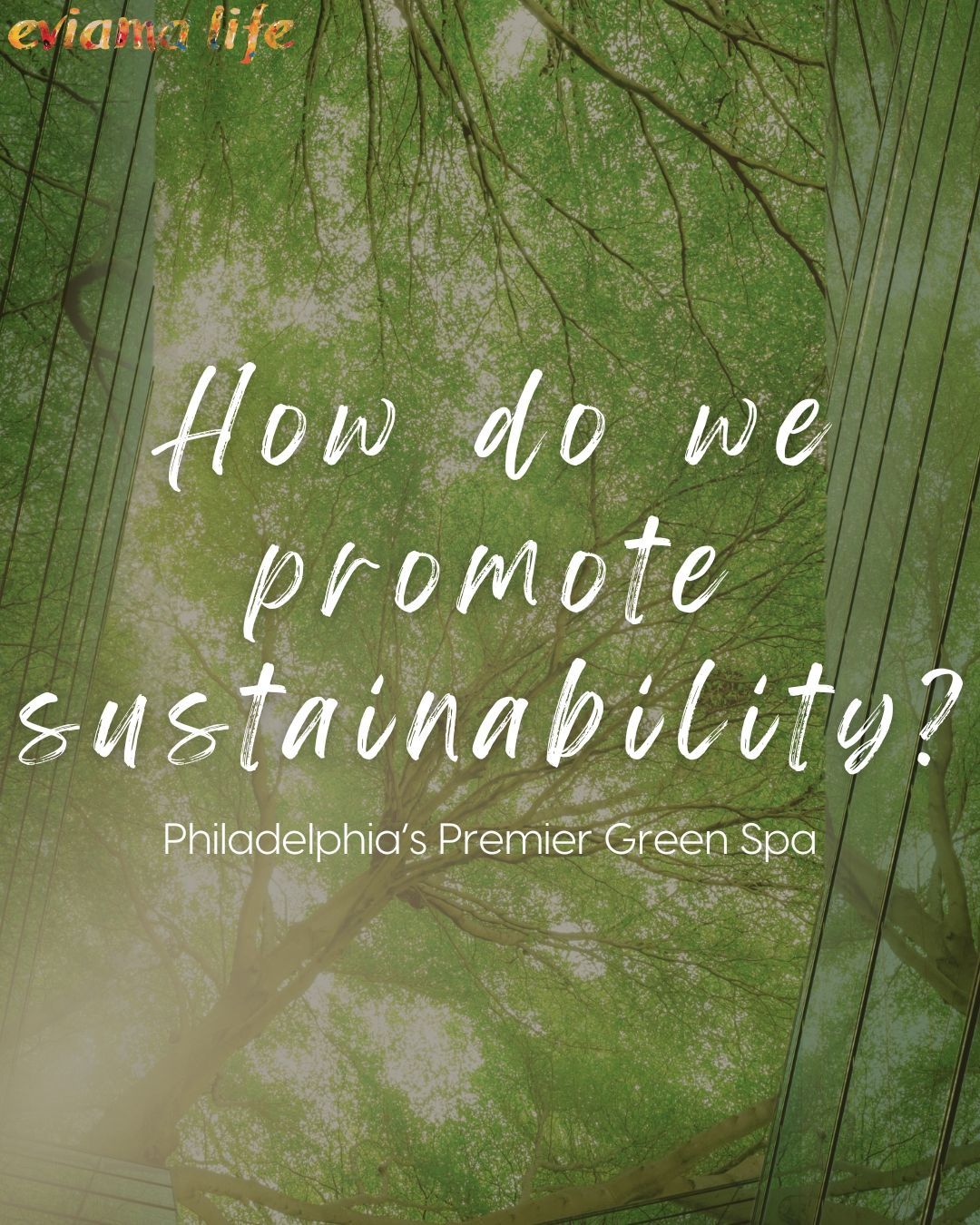 Sustainability is at the heart of everything we do. ?We use only organic, pesticide-free products that support nature and our body’s natural ability to heal. Our spa runs on locally sourced, fossil-free energy, and our eco-friendly construction reflects our deep commitment to minimizing environmental impact. What touches you, touches the planet—from the most remote atoll to the Mariana Trench—so we choose wisely. Proudly partnering with @drhauschkausa, @oshadhi_aromatherapy, @thejojobacompany & more to bring you truly sustainable wellness. ?♻️
+
+
+
#SustainableWellness #EcoFriendlySpa #OrganicHealing #eviamalife #eviamalifespa #eviama #GreenSpa #Philadelphia #Philly #PhillySpa #PhillyWellness #PhiladelphiaWellness