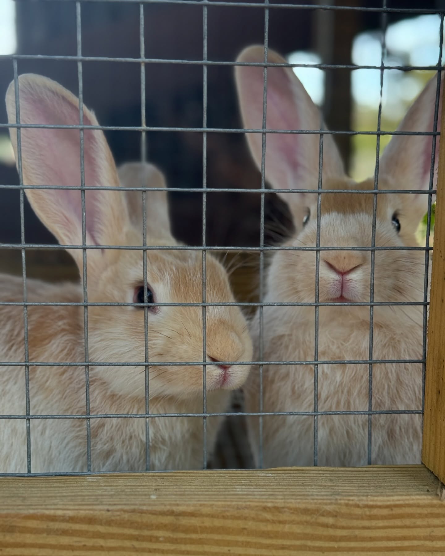 We’ve been busy over here, but we wanted to share some cuteness for your Monday.