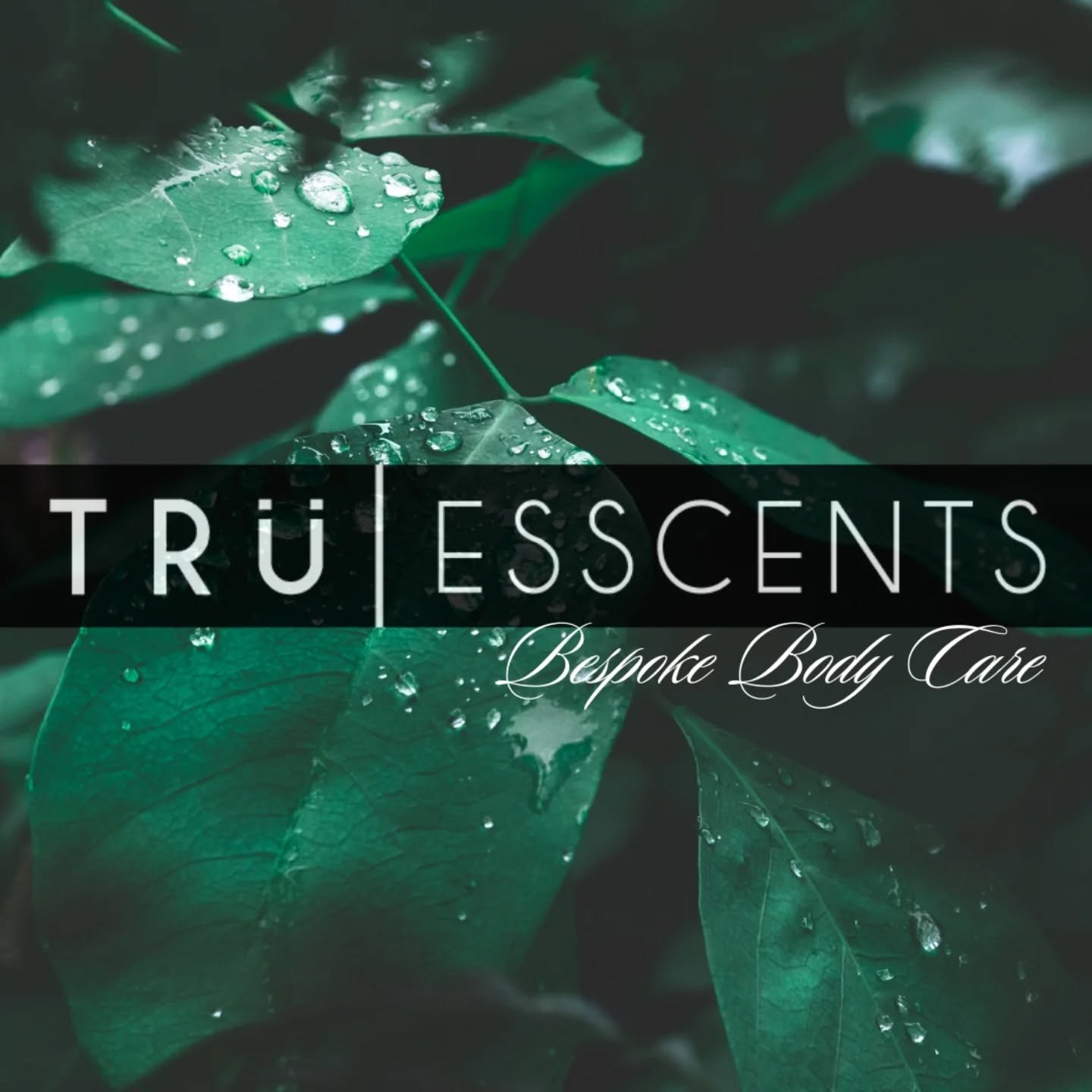 Every ingredient matters. Experience the power of ethically sourced body care.