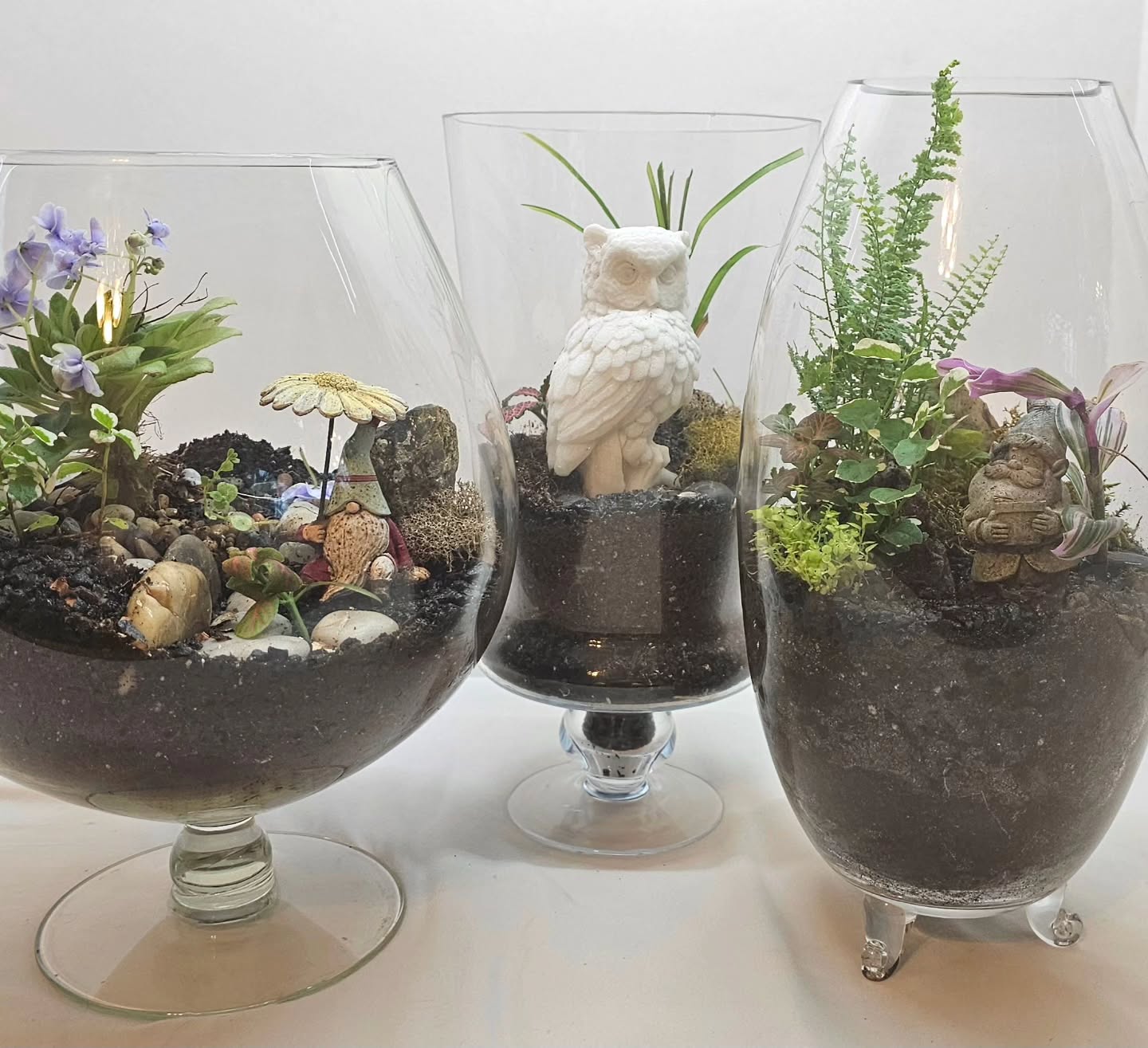 Terrarium maintenance day to prepare for the new isopods!