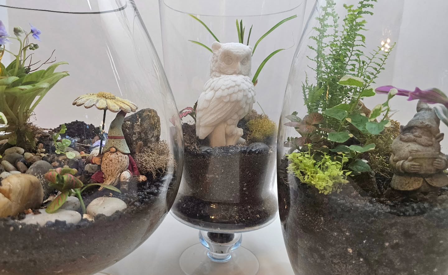 Come out Mother's Day weekend and make one of these awesome terrariums! Located in Eagle Point, OR.
$60 includes everything!
*Space is limited*
Must pre-register to secure your supplies.