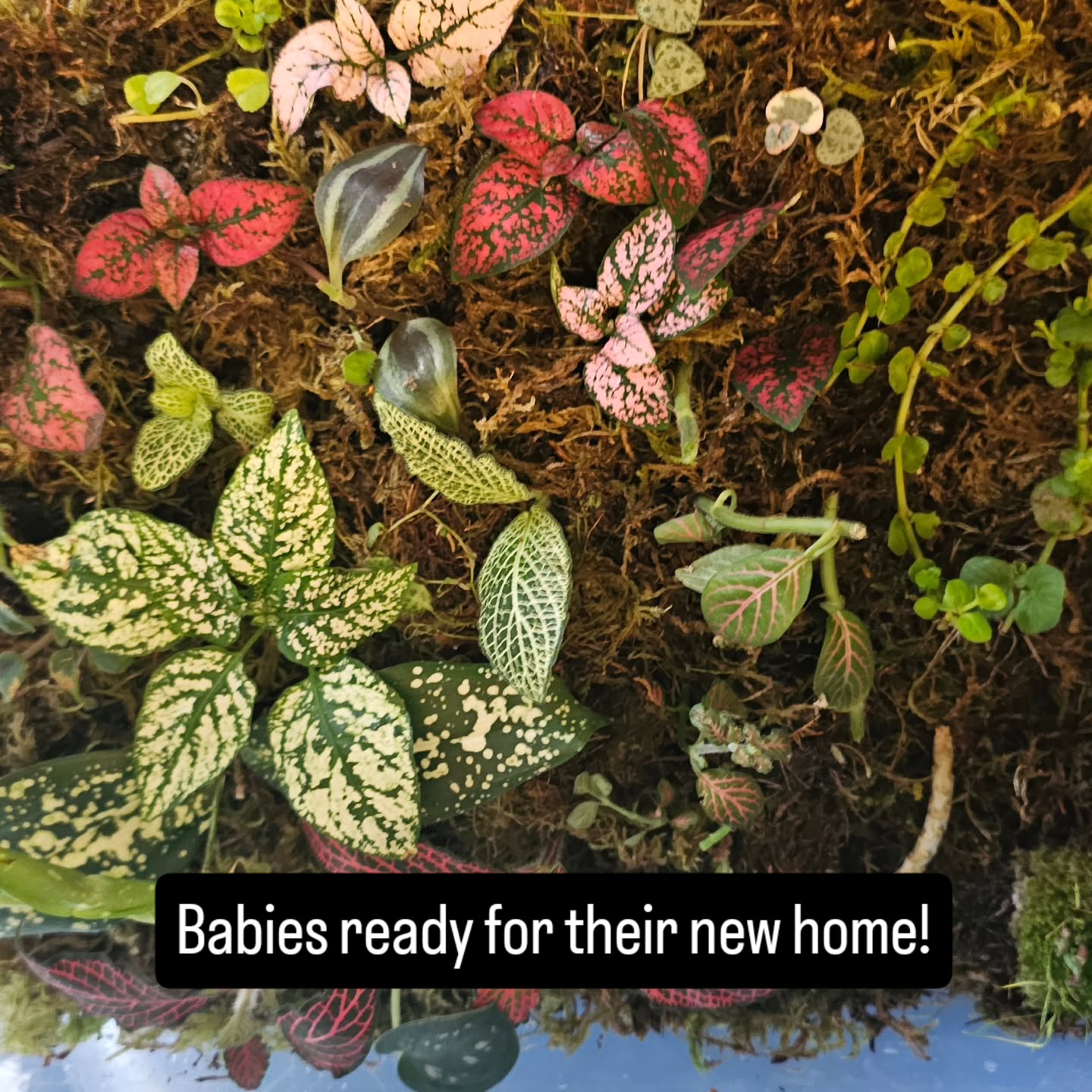 Looking forward to mothers day weekend!!