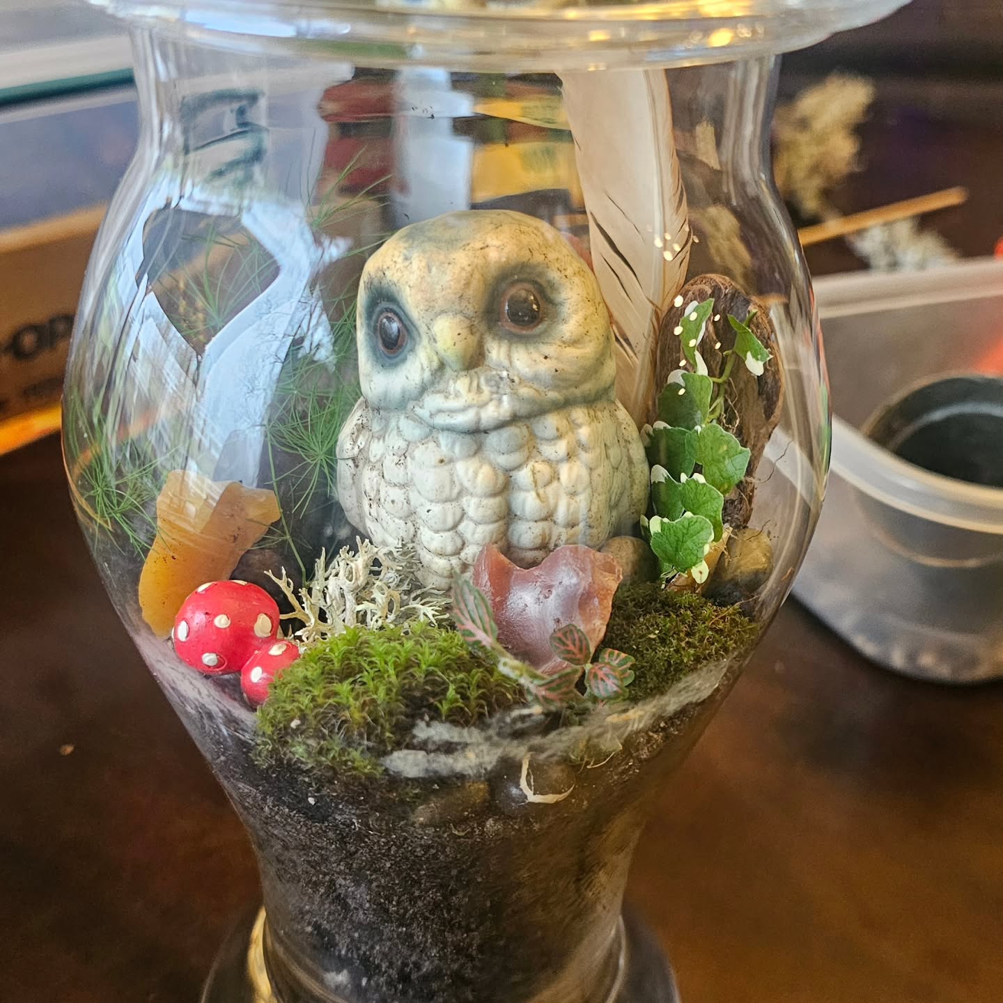 First time terrarium maker created this amazing little piece ❤️ 🪴 🌱 🌿 🌾