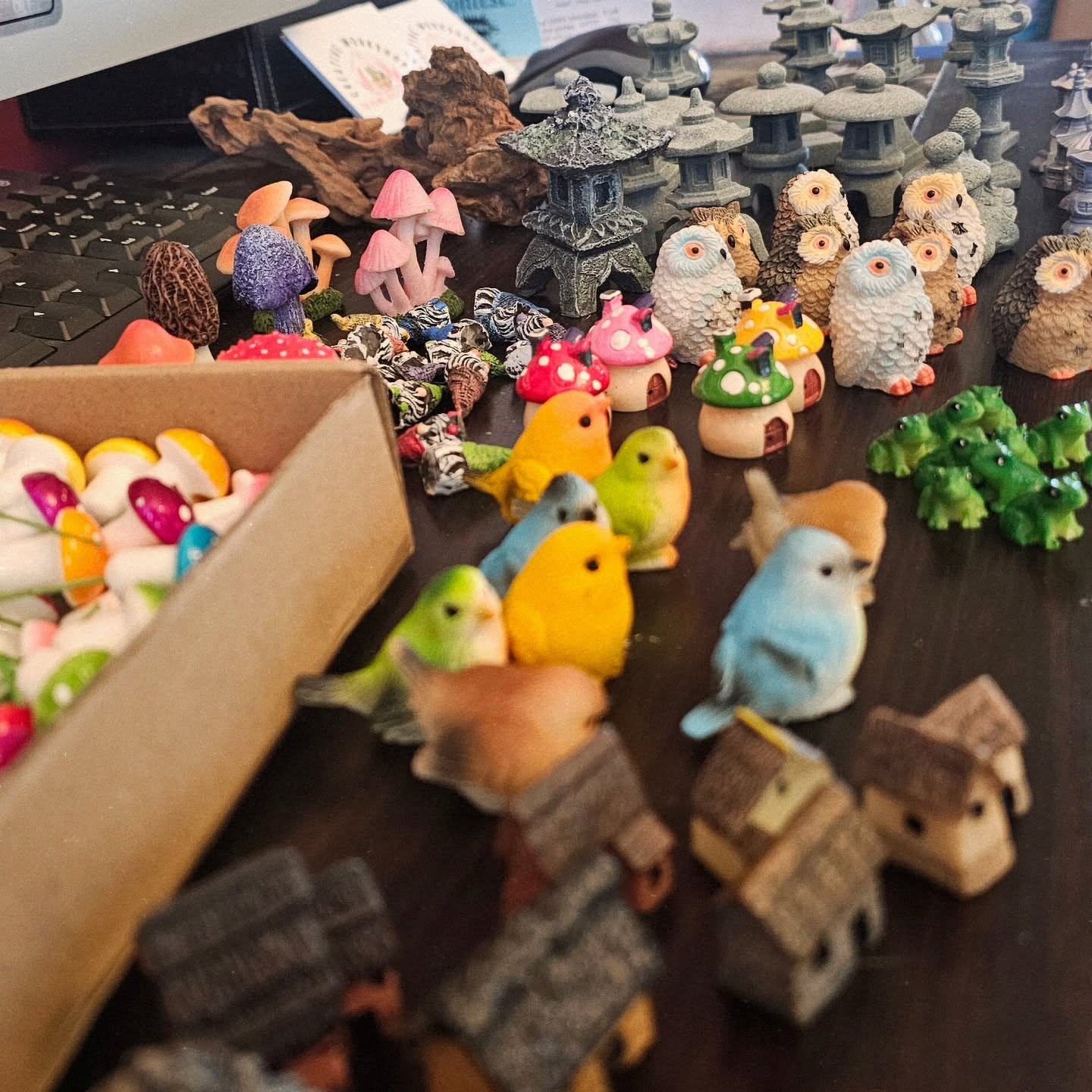 Come make an awesome terrarium Mother's Day Weekend! Got some new trinkets to play with!!
#terrariumworkshopeaglepoint #terrariumeaglepoint #terrariumsouthernoregon