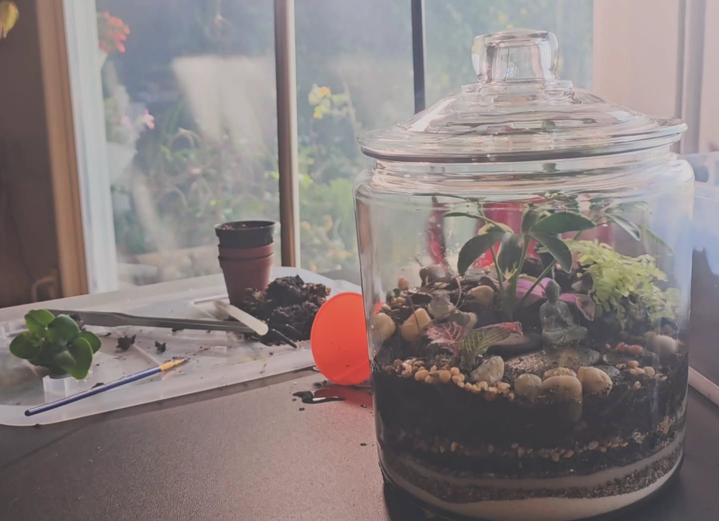 Having fun in the Studio today 🌱 🌿
Come make a Terrarium with me! Next workshop is Saturday June 7th at 7p! Sign up today!