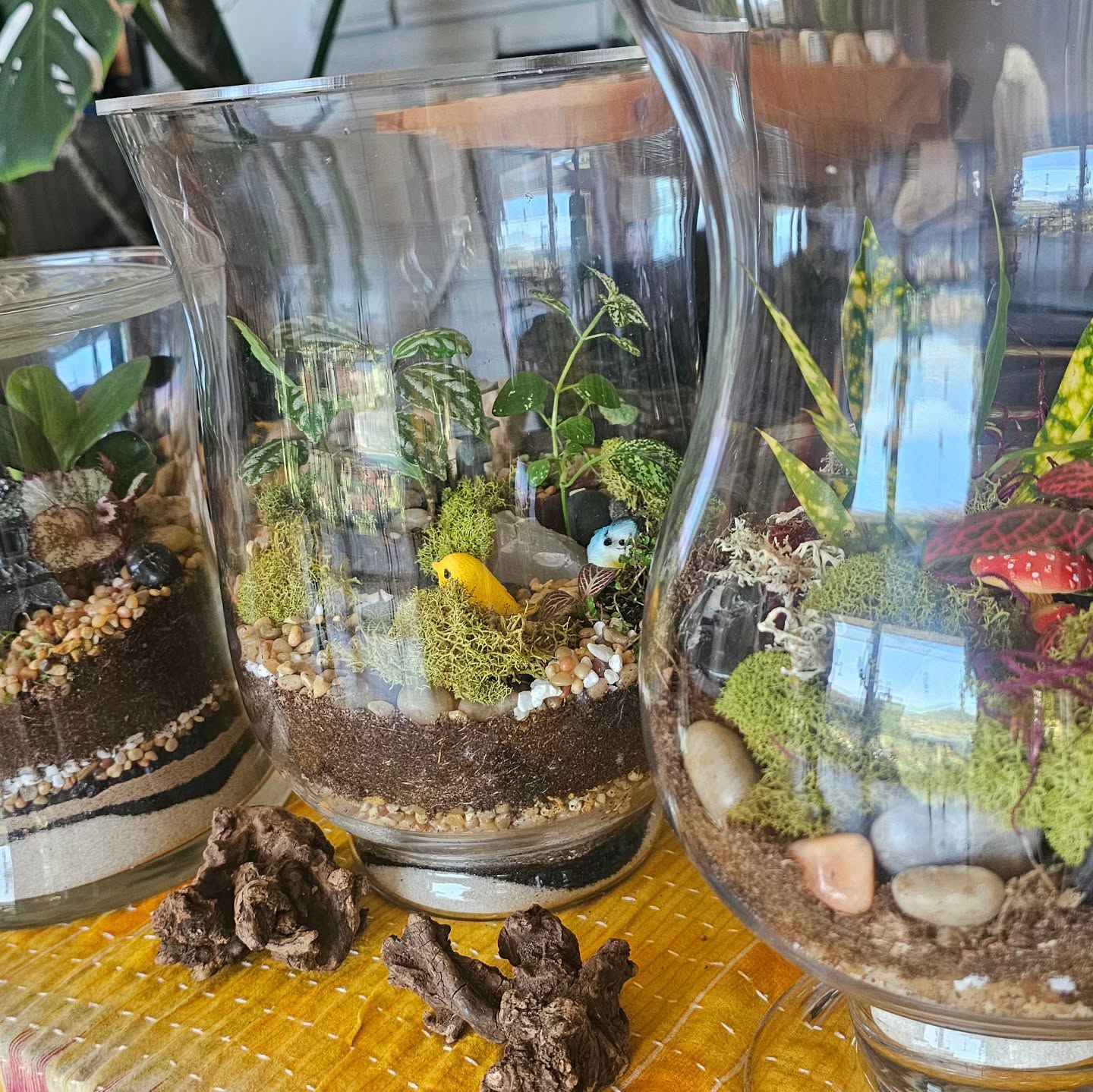 Today's Terrarium Workshop was super fun! Can't wait for next time!
July will be Workshop free - stay tuned for what's coming next!