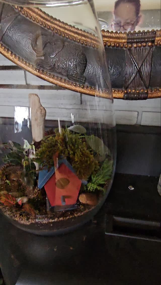 Terrarium Love!!!
Did this beauty the other day. Will keep you updated on growth! Terrarium workshop coming soon in Eagle Point, OR