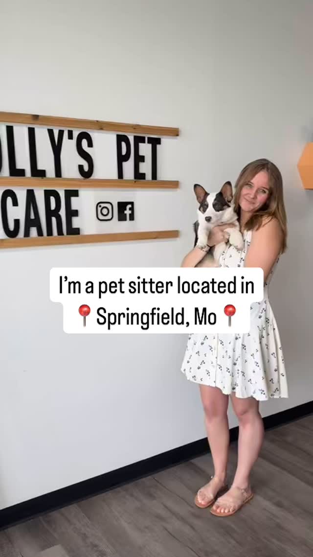 #springfieldmo #petsitter