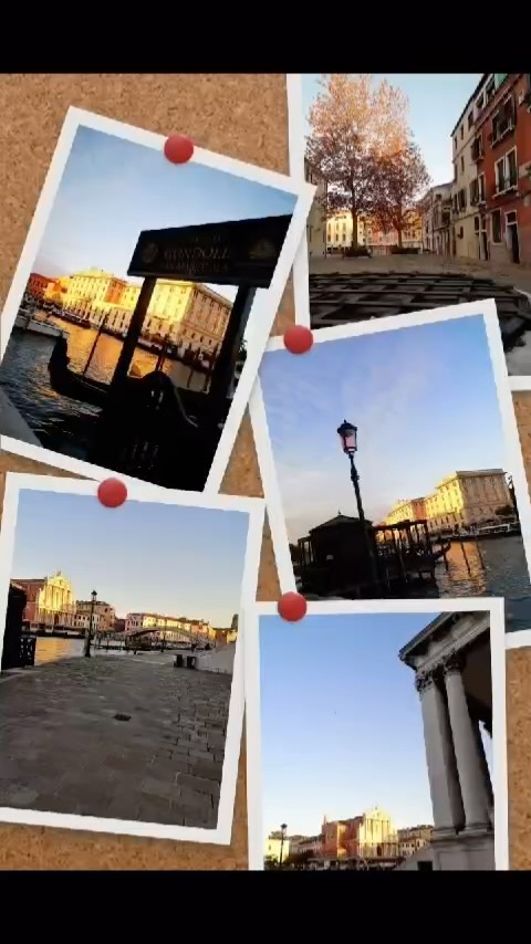 Autumn colours ??
Are you coming?
We are looking forward to welcoming you! ?
#venice #veneziadavivere #veneziaunica #veneziatoday #venicegram #hotel #hotelantichefigure #jyp #leaves? #rain #sun #venice #italy #travel #venezia #photography #travelgram #europe #photooftheday #love #instagood #reels #summer #instatravel #wanderlust #vacation #veneto #trip #travelblogger #beautiful #holiday