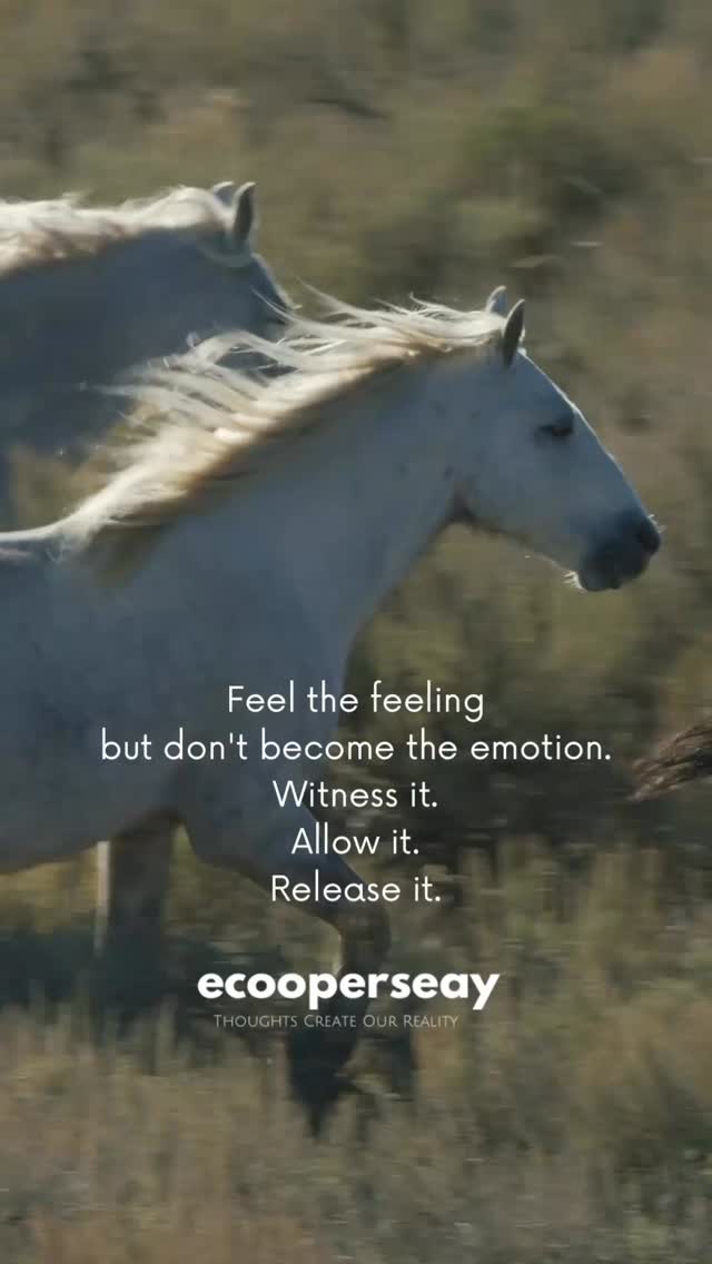 Some days the weight sneaks up quietly.
A wave of emotion hits, and before we know it, we’re carrying it like it is us.
But it’s not.
You are not the overwhelm.
You are not the fear.
You are the space it moves through.
Hypnotherapy helps you pause inside the moment —
To feel it fully,
without being consumed by it.
To soften,
without losing your strength.
To release,
without shame.
You don’t have to hold it all.
🌀 Sessions with Cooper available in-person & online
💻 ecooperseay.com
📞 706-688-YOGA (9642)
📧 antahsara@gmail.com
#LetItMoveThrough #EmotionalHealing #Hypnotherapy #Antahsara #FeelToHeal #ListenInside #YouAreNotYourEmotion #HealingIsPossible