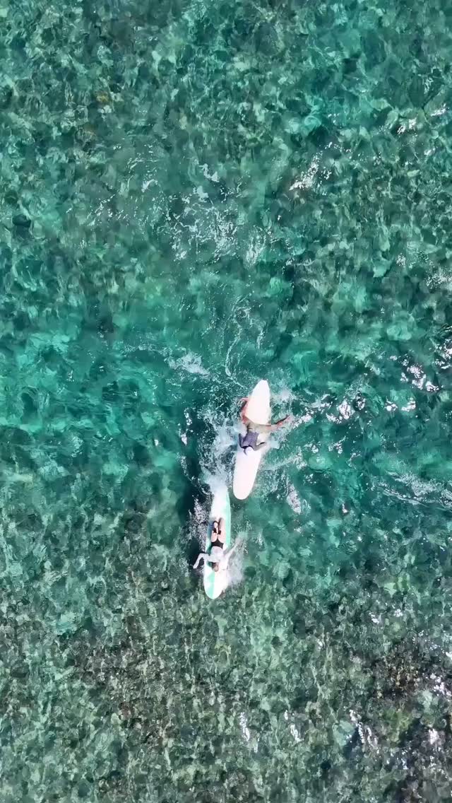 @solsurf_ X @favelamentawai in the Mentawai Islands - Oct 4-14, 2025
Just a couple of spots remain on the surf retreat of your dreams. Think warm, fun waves on a tropical island paradise where all you have to do is show up with your surfboard.
All meals, accommodation, boat trips & your host is included in this unforgettable surf retreat, meaning we’ve taken care of all the details so you can relax and enjoy time to soak up the sun & waves 🌊 🏝️
Trust us when we say you do not want to miss this. Book via link in bio.
#solsurf #surfmentawais #mentawaislands #surfretreat