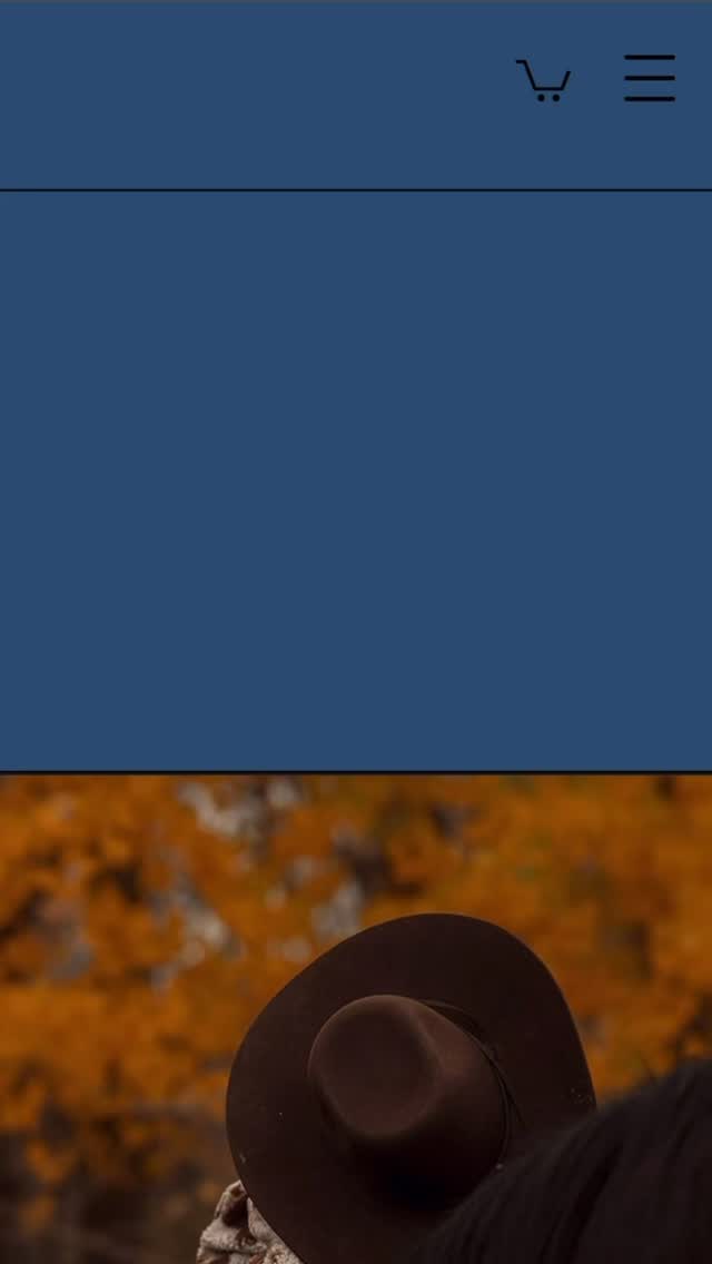 ✨Ordering custom hoodies in minutes!
+ checkout the automatic discounts applied to wholesale orders!