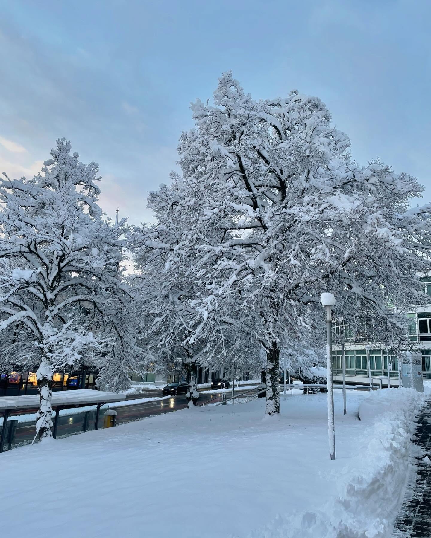 ❄️ the morning after ❄️
#snow #snowday #winter #zug #winterwonderland #cham #switzerland @gemeindecham