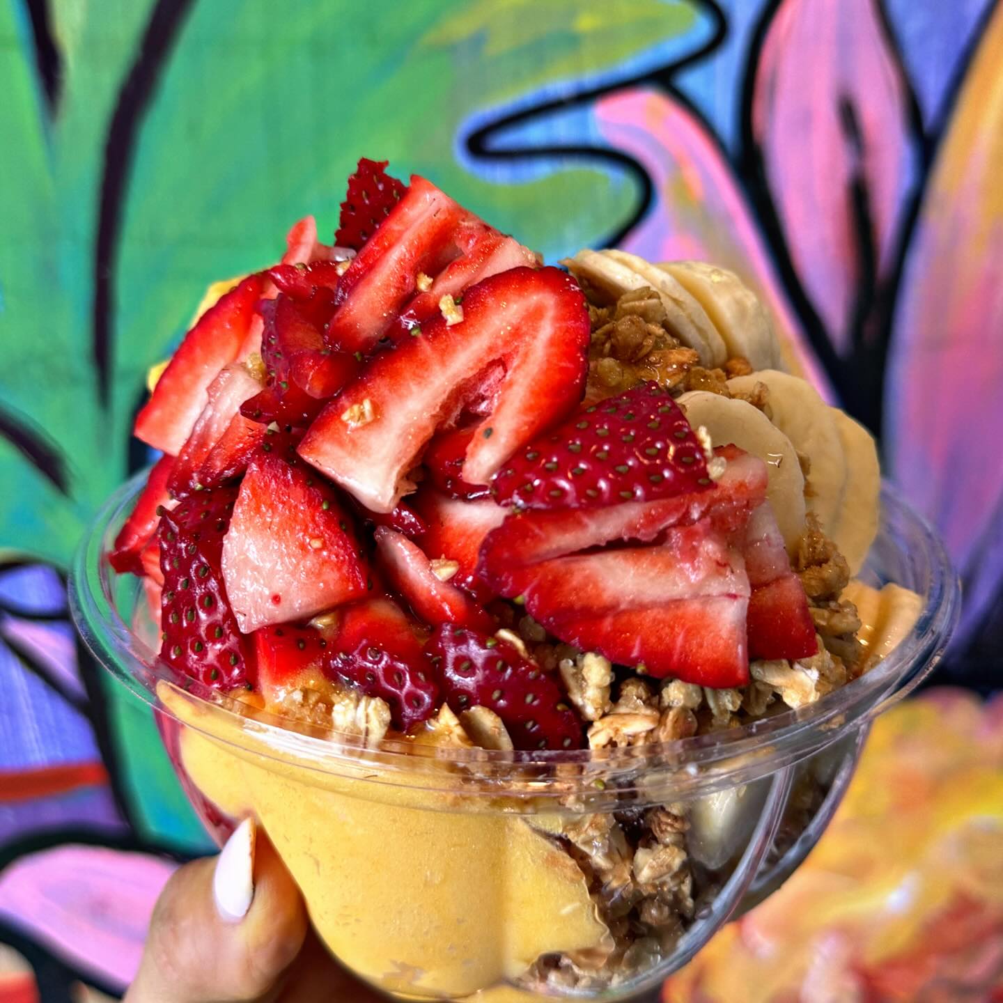 Antigua Bowl is the bowl you would get on a FRIDAY! Enjoy this sweet mango 🥭 sorbet topped with freshly cut strawberries, banana, and granola! Download our app to add additional toppings! Thank you so much! 😊 
#antigua#mango#sorbet#cellfjuices#smoothies#acai#localbusiness#womanpower#westernmass#springfieldmass#juicebar#coldpressedjuice