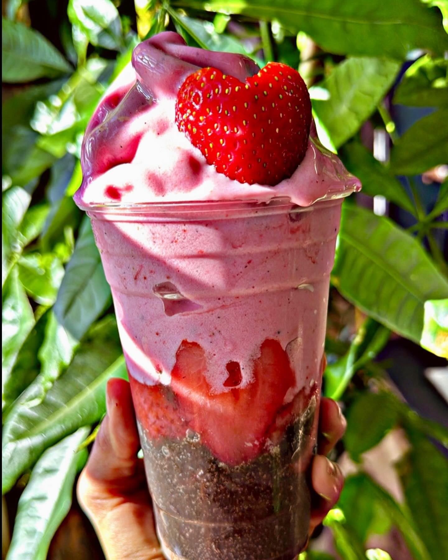 HAPPY FEBRUARY ❤️❤️❤️😍
AQUARIUS ♒️ SEASON!!
ORDER NOW on our Cellf Juice APP!
#lovesmoothie#strawberrysmoothie#coconutmilk#oréo#localbusiness#springfieldmassachusetts#juicebar#acaí#aquarius♒#feb2025 #valentinesmoothie