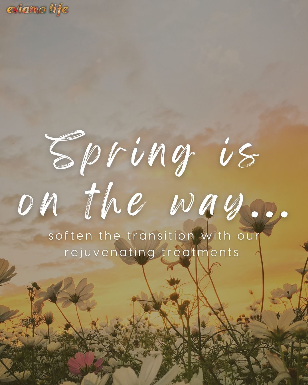 Seasonal changes impact our physical and spiritual well being more than we realize! So why not soften the blow by prepping your skin, muscles and energy-body with some ritualistic self care to ease into the Spring Season! 
Spring symbolizes rebirth and renewal after a long, cold winter. Now is the perfect time to gear up for the coming months by letting go of cold season stagnancy and start embracing growth and regeneration.
Need suggestions? Try this...
- Rescue Me Facial - 70 min / $179
Refresh your skin. We tackle any challenge: acne, uneven tone & texture, clogging, fine lines, dryness, environmental stress...
- PediKarma - 55 min / $139
Himalayan salts & a sage essence soak set the stage for this ancient Ayurvedic foot treatment using the Kansa wand, drawing out excess acid &