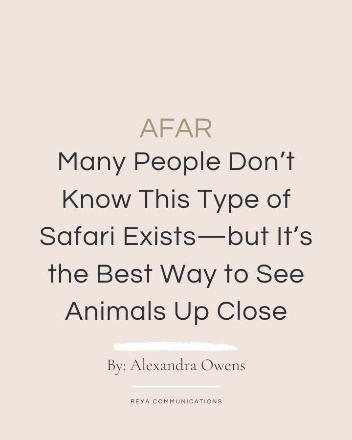 A Different Kind of Safari
In @afarmedia , @alexandraco11 reveals why “Many People Don’t Know This Type of Safari Exists—but It’s the Best Way to See Animals Up Close”. A lesser-known but unforgettable way to experience Africa’s wildlife: water-based safaris. Instead of bumping along in a Jeep, @volcanoes_safaris invites travelers to glide silently past elephants wading in the shallows and spot vibrant malachite kingfishers perched among the reeds.
Uganda’s Kazinga Channel—home to one of the world’s largest hippo populations—is a prime spot for this immersive experience. “Our guests love to get up close to see an abundance of wildlife, including elephant, buffalo, crocodile, and antelope—an occasional lion or leopard may also be in the distance at dusk,” shares Praveen Moman, founder of Volcanoes Safaris.
A stay at Kyambura Gorge Lodge offers access to this incredible ecosystem, where the rhythm of the water reveals a hidden side of the savanna.
Read Owens's full story at the link in our stories and bio.
To our friends in travel journalism—if you’re looking to spotlight Africa’s most unique safari experiences, let’s connect!
Photo credit belongs to the talented @michaelturek.
#VolcanoesSafaris #KyamburaGorgeLodge #WaterSafaris #KazingaChannel #QueenElizabethNationalPark #LuxuryTravel #WildlifePhotography #AfricanSafaris #TravelJournalism #AFAR