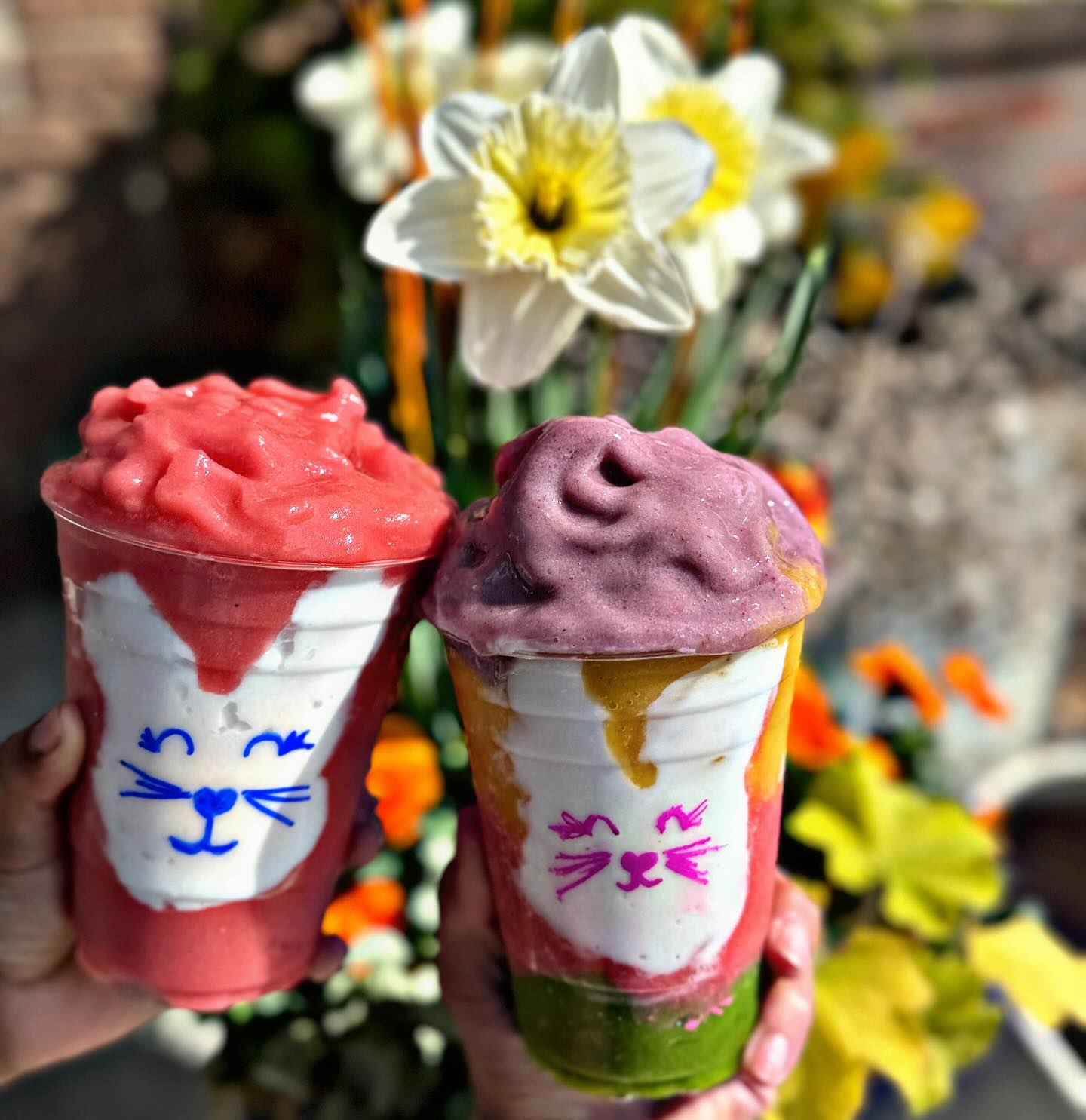 What a BEAUTIFUL EASTER SUNDAY! 🐰 We are here 10-2p! Stop by for a Bunny Smoothie 🍇🍏🍋🍐🍊🍉🍈
#eastersmoothie#smoothie#healthy#juice#juicebar#localbusiness#springfield#westernmass#latinamerica#sunday