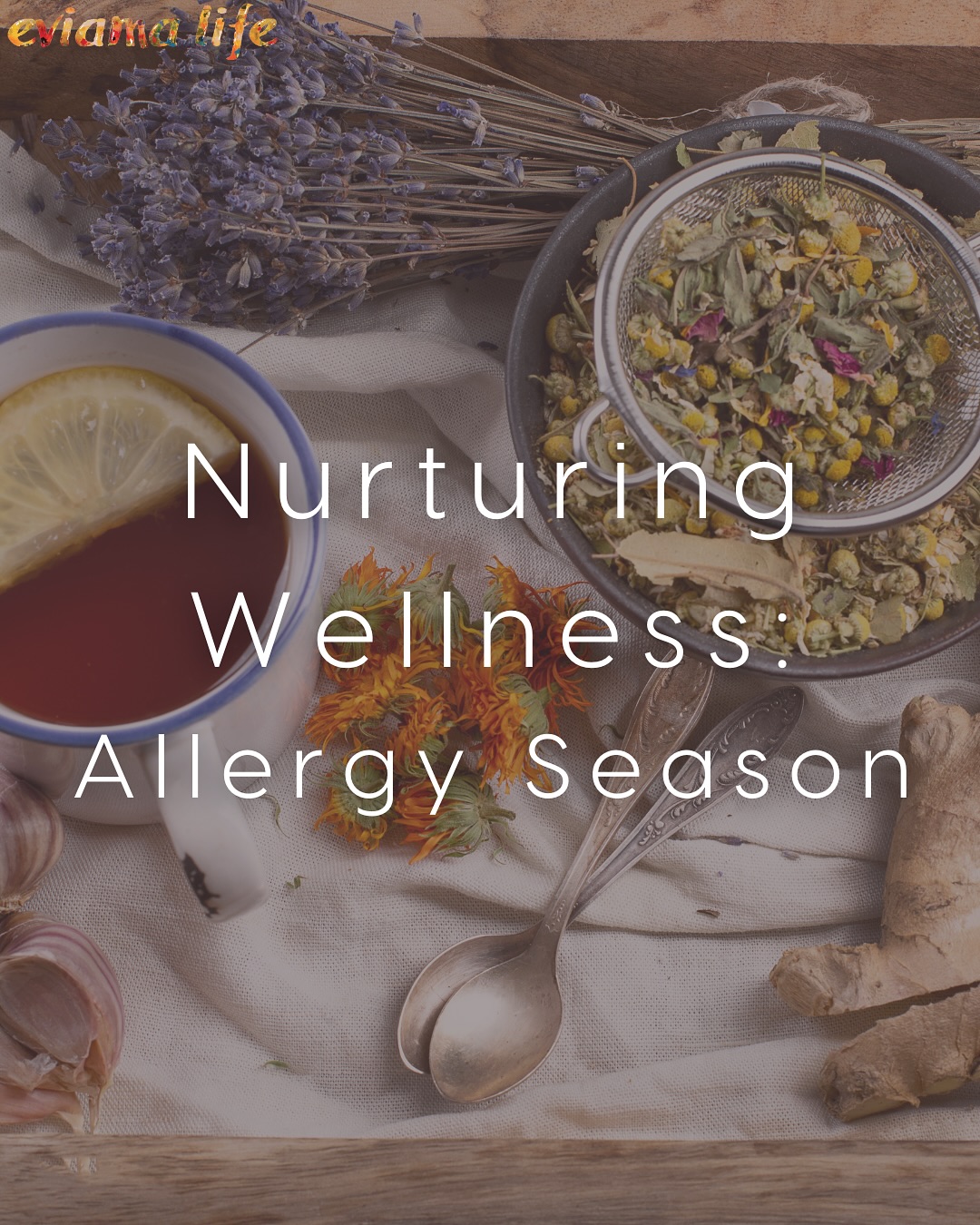 It’s allergy season - and that means our bodies are in need of some extra support to combat congestion and inflammation! Swipe to learn about some holistic techniques you can use to reduce your sinus congestion and ease breathing without relying on drug-store medications!
Lymphatic Drainage Massage is available at eviama! Book with Sofia or Lyudmila by visiting the link in our bio!
Oshadhi Essential Oils sold in the eviama boutique as well!
+
+
+
#eviamalife #eviama #eviamalifespa #LymphaticDrainage #LymphDrainage #LymphDrainageMassage #PhillyLymphDrainage #Philly #Philadelphia #PhillySpa #SpasInPhilly #GreenSpa #OrganicFacials #Natural
