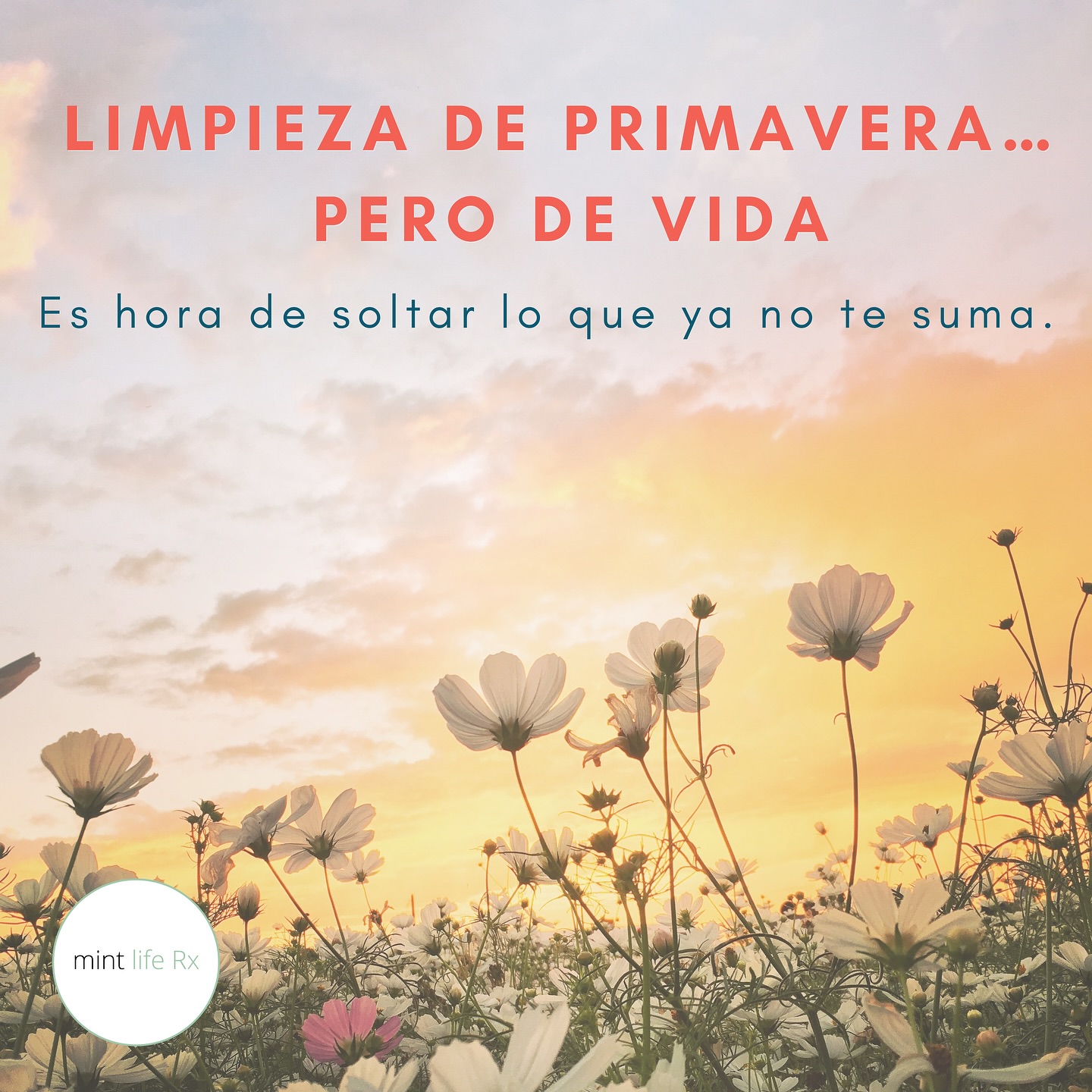 Limpieza de primavera… pero de vida.
No todo lo que hay que limpiar está en el clóset.
Esta primavera, haz espacio para lo que realmente te nutre:
	•	🧹 Elimina las cuentas de IG que no te inspiran
	•	📺 Reduce el Netflix que te drena y aumenta los libros o caminatas que te recargan
	•	🥗 Cocina más en casa, come más color y menos empaques
	•	✨ Organiza tu espacio… y también tus prioridades
Hazle declutter a tus hábitos, tu energía y tu mente.
Tu bienestar también merece un refresh.
¿Con qué vas a empezar tú?
Cuéntame abajo y compartimos ideas para esta limpieza de primavera. 
@gina.suarez.coach 
#SpringCleaningDeVida #HábitosQueNutren #ResetDeTemporada