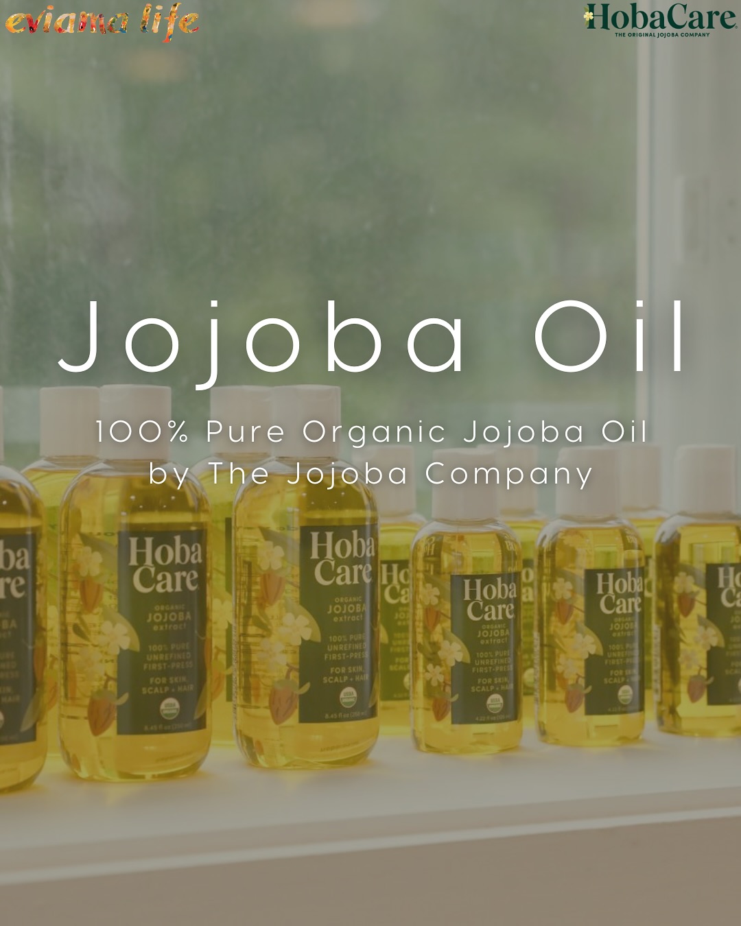 Curious about Jojoba Oil? At eviama, we are obsessed with The Jojoba Company and the incredible products they offer - specifically Organic Jojoba Oil! Not only do we exclusively use Hoba Care in our massage and bodywork, but we also sell it in our boutique! Experience pure radiance with this incredible product!
Hoba Care 8.45oz / $19
And as always, we are open 7 days a week! Book a massage and get full body hydration with any of our massage options!
☎️ Call us 215.545.3344
?️ Book online
? 109 S. 13th Street, Suite 2N, Philadelphia, PA
+
+
+
#EviamaLifeSpa #Eviama #EviamaLife #Philadelphia #PhiladelphiaGreenSpa #Philly #PhillySpa #WomanOwned #HobaCare #JojobaCompany #Organic #JojobaOil #SkinCare #HealthySkin