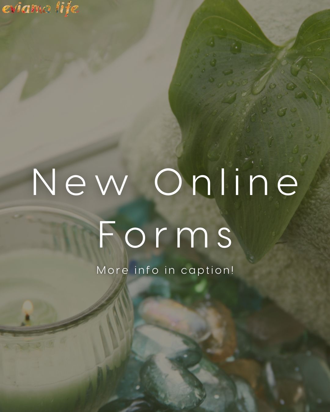 We have an important update for our new clients! We are officially going virtual with our intake forms! For the longest time we have been providing paper forms for new clients, but now with our brand new virtual form option, your visit to eviama is about to get even more seamless! 
Now, when you book your appointment as a new client, a link to your intake form will be sent straight to your device for easy access! Simply fill out the form, hit submit and that's it! Not only will this save you time, but of course it will save trees too!
+
Questions? Call us!
☎️ 215.545.3344
?️ Book online
? 109 S. 13th Street, Suite 2N, Philadelphia, PA
+
+
+
#eviama #eviamalife #eviamalifespa #phillyspa #spasinphilly #philadelphia #mangomint
