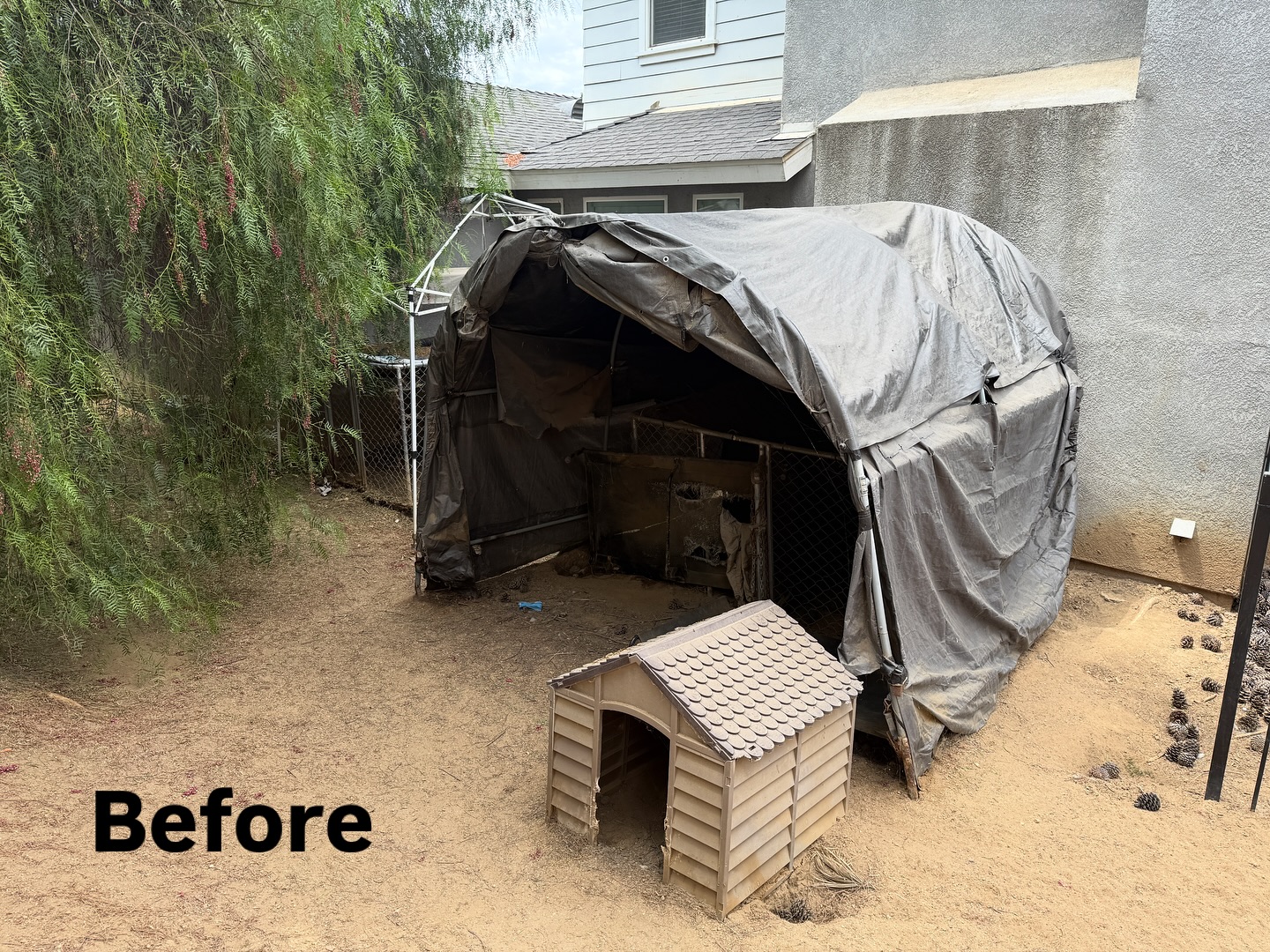 This backyard had Old falling apart dog kennels, artificial turf underneath, leftover home products, some dead rodents, and lots of spiders. Our customer has been dealing with some medical issues and unable to maintain the area clean to keep the dogs safe. So they reached out to me and hopes of getting an extra hand.. We took care of everything, helped them install a new tarp on their pop up tent, and cleaned up the area , so the dogs have a nice shaded area to relax. Don’t be afraid to reach out to us with small or large projects, we are happy to help. #junk