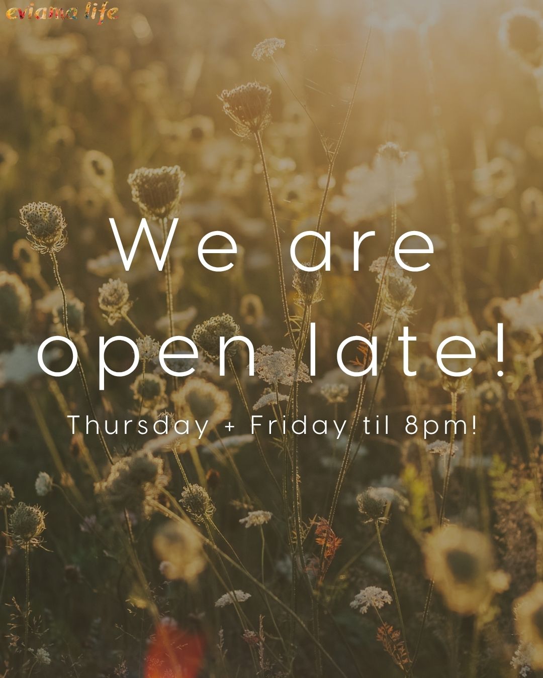 Stressful day at work? Stop by eviama and get $10 off a Massage, Reiki OR $15 off an herbal wrap when you book from 4-8pm on Thursdays and Fridays! 
We are on our 3rd week of late nights and we are so pleased to offer more flexibility for our clients. 
Questions? Call us!
☎️ 215.545.3344
?️ Book online
? 109 S. 13th Street, Suite 2N, Philadelphia, PA
+
+
+
#eviamalife #eviama #eviamalifespa #phillyspa #philadelphia #spasinphilly #philadelphiaspa #gayborhood #midtownvillage