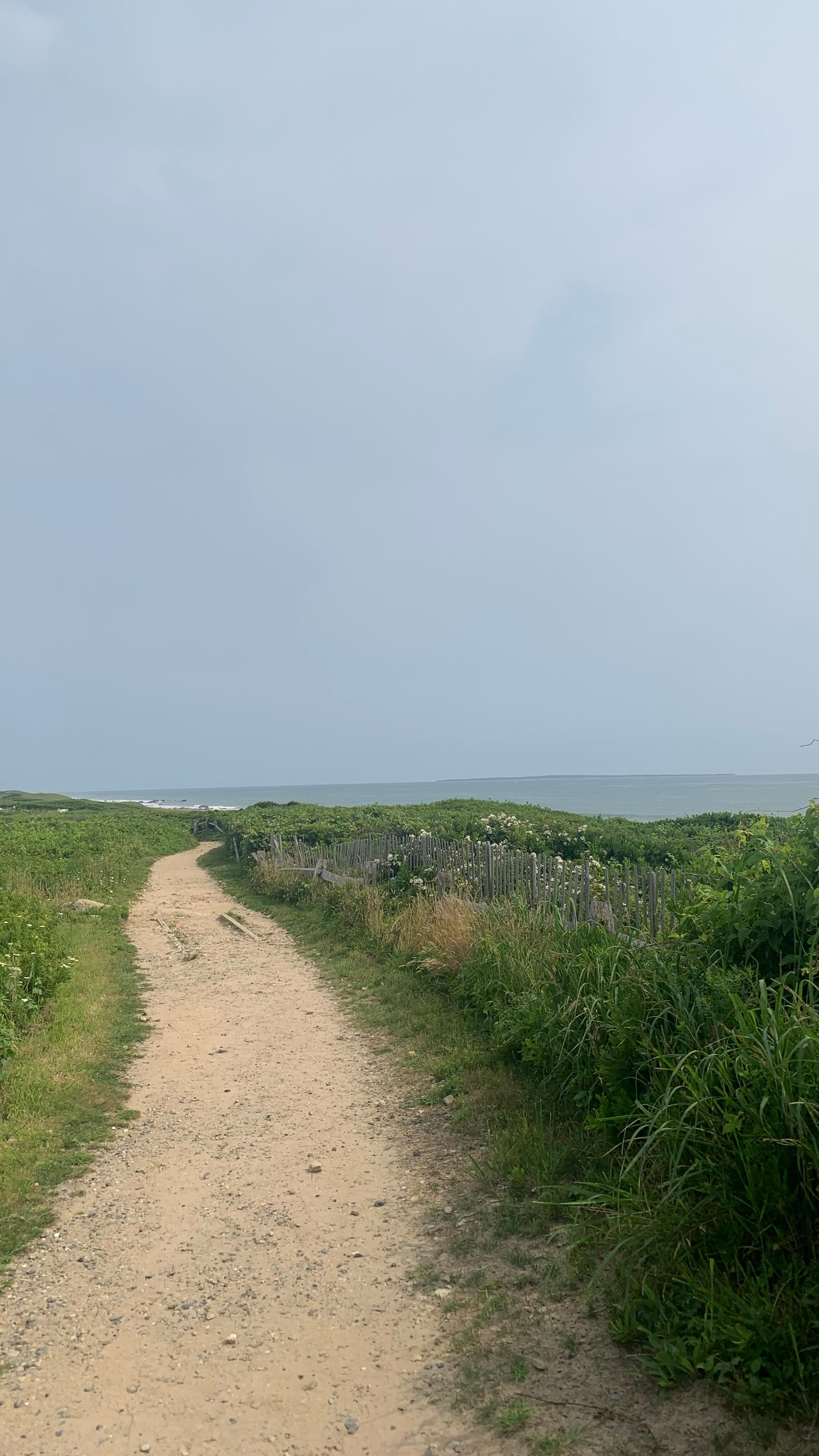 Whats on your bedside table? For us, it’s our pure Bergamot Essential Oil, a bright citrus burst that instantly uplifts your mood, melts away stress, and leaves your skin feeling refreshed and renewed.
.
.
.
.
.