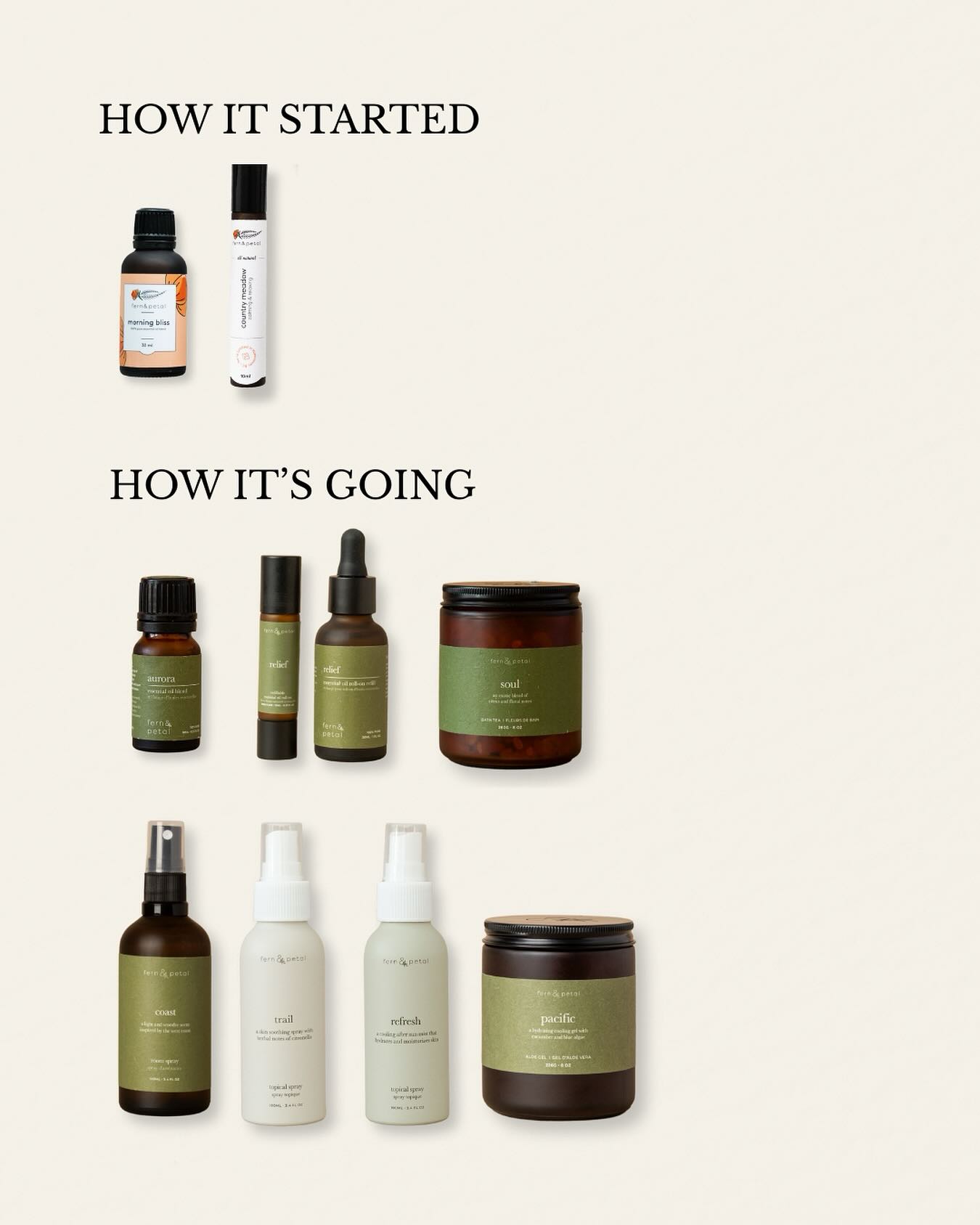 How it started:
• Just a handful of oils
• Sold at a tiny farmers’ market in Rock Creek, BC with no display and no selling experience
• Bottling everything by hand in our 700 sq ft apartment
• And a team of… just us
How it’s going:
• Over 30 oils and blends
• Available online, at the biggest craft markets in BC, and in some of your favourite local boutiques
• Bottled in our BC warehouse with the help of an amazing team (and a little machinery to speed things up)
From a kitchen table to shelves across Canada, we’re so proud of how far this family business has come, and we’re just getting started. 🌿