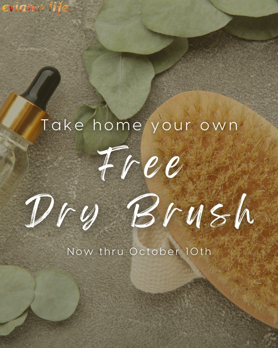Take home your own FREE Dry Brush when you add on Dry Skin Brushing for the Back to any service for just $12 now through October 10th! Dry brushing is an easy and natural way to exfoliate the skin, improve circulation and get lymphatic fluid moving! It's is a no-brainier!
Offer only valid while supplies last.
+
+
+
#eviamalife #eviama #eviamalifespa #drybrushing #lymphaticdrainage #skincare #dryskinbrushing #phillyspa #philadelphia #spasinphilly #gayborhood