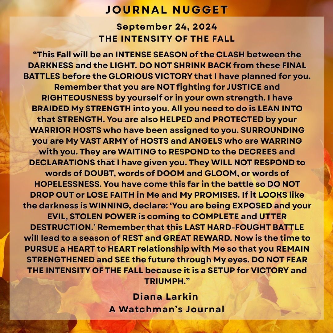 JOURNAL NUGGET