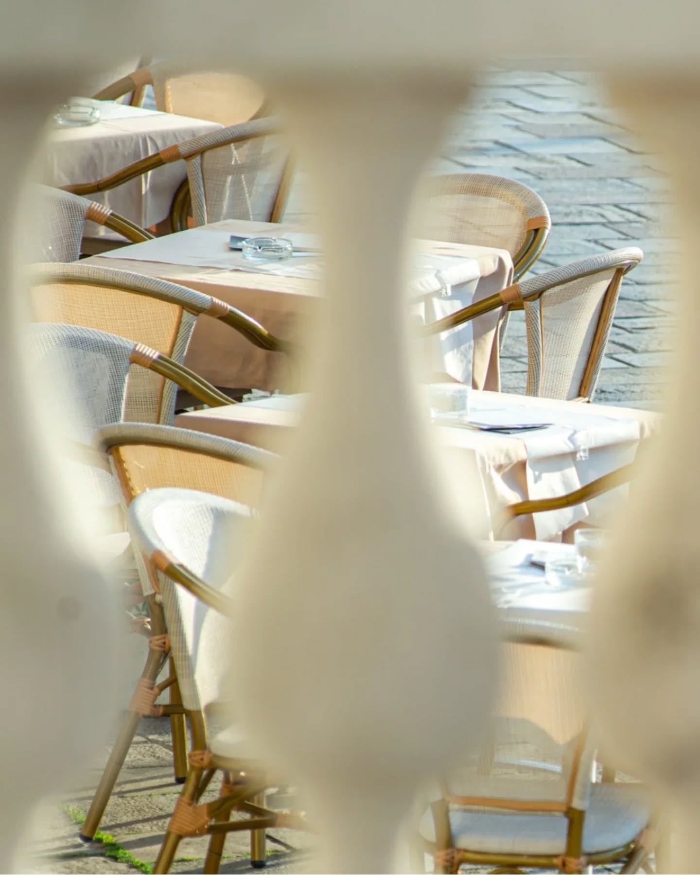 ?? Tra le colonne, il sole dorato d’autunno accarezza il plateatico con la sua luce calda. ?
Goditi un aperitivo al tramonto, concediti un momento di quiete e ammira la città mentre si veste dei suoi colori più incantevoli. ✨
Concediti l’arte di rallentare — o prenota il tuo soggiorno e lascia che Venezia ti avvolga nella sua luce autunnale. ☀️
?? Between the columns, the golden autumn sun touches the terrace with its warm glow. ?
Sip an aperitif at sunset, take a quiet moment for yourself, and watch the city shift into its most enchanting colors. ✨
Indulge in the art of slowing down — or book your stay and let Venice embrace you in its autumn light. ☀️