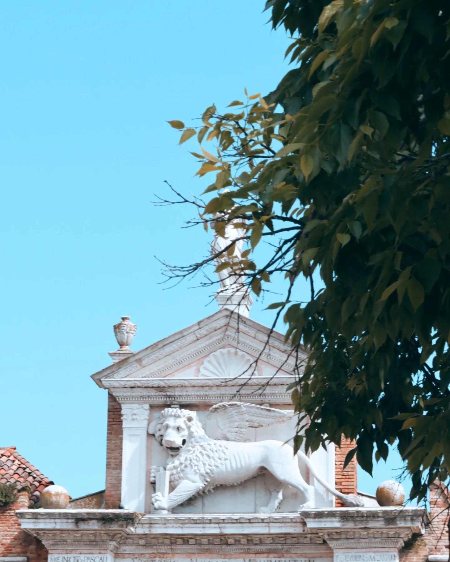 ?? Simbolo di forza e libertà, il Leone di San Marco veglia da secoli sulla Serenissima.
Tra le pietre e i riflessi di Venezia, racconta una città che non smette mai di affascinare.
Un dettaglio che racchiude l’anima di Venezia. ?️
?? A symbol of strength and freedom, the Lion of Saint Mark has watched over Venice for centuries.
Amid stone and shimmering light, it tells the story of a city that never ceases to enchant.
A detail that embodies the soul of Venice. ?️
#venice #venicehotel