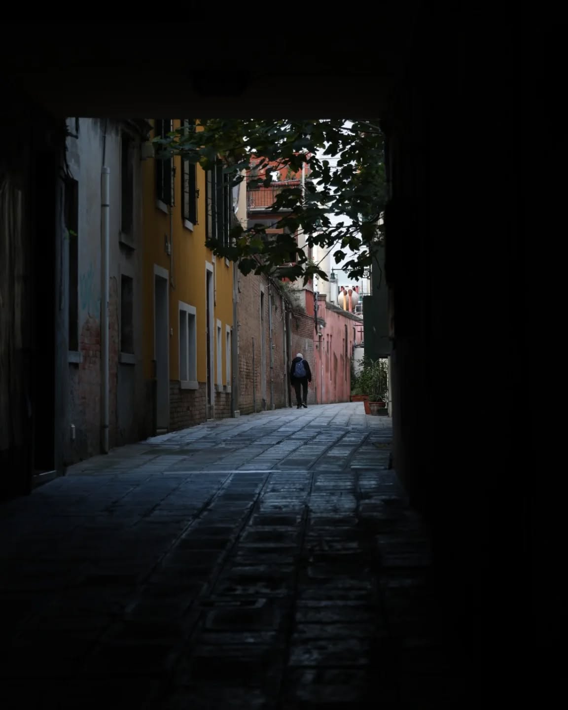 ??Dall’ombra del sottoportego emerge una Venezia intima:
una calle silenziosa, lontana dai passi affrettati dei turisti.
È qui che la città respira davvero, nei suoi momenti di luce quotidiana. ?✨
??From the shade of the sottoportego, an intimate Venice appears:
a quiet calle, far from the hurried footsteps of visitors.
This is where the city truly breathes, in its moments of everyday light. ?✨
#venice #venicestreet