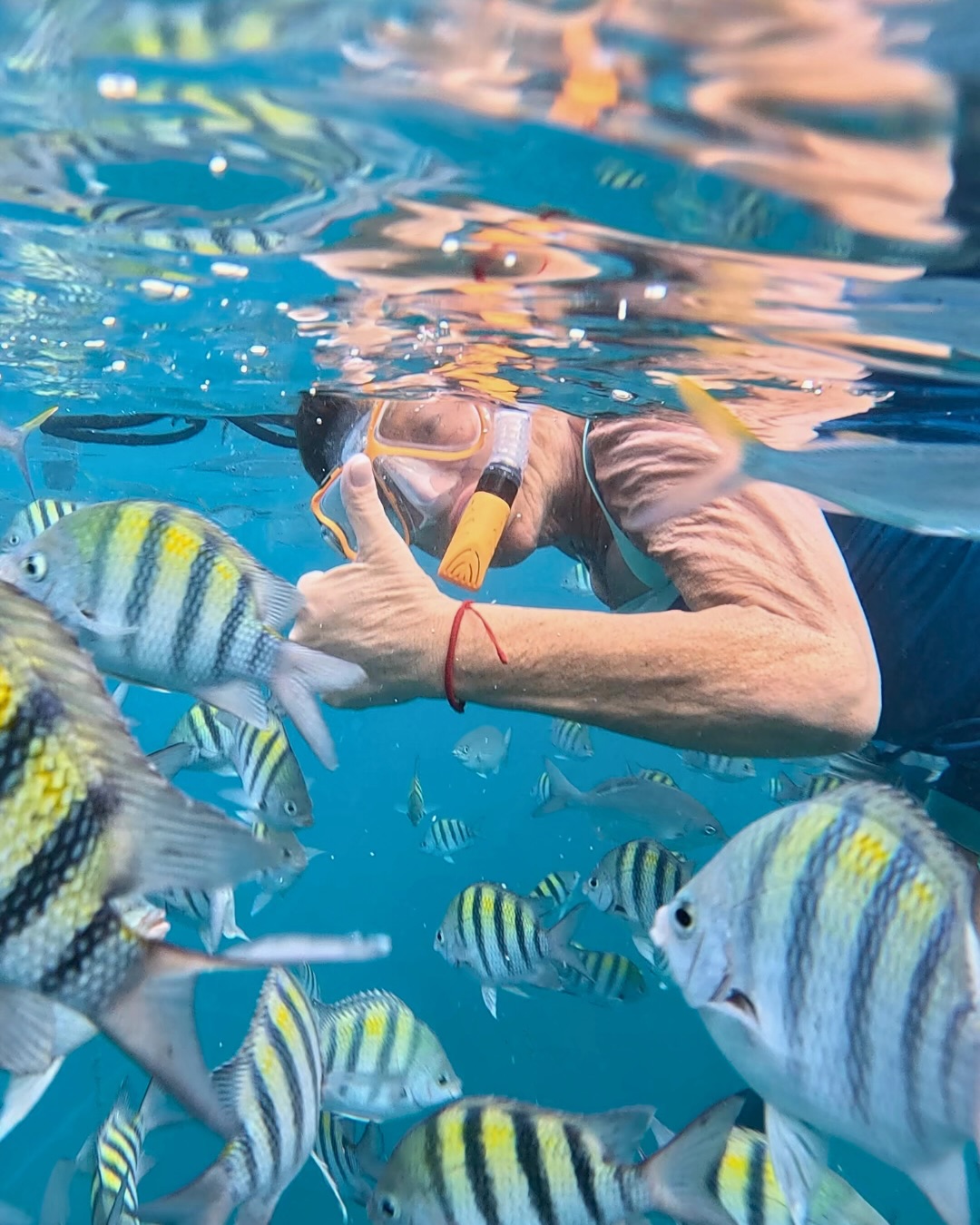 From sunken treasures and reef fish to pelicans cruising the sky, Little Bay is a full 360° experience. ??
? What to watch for:
• Lots of vibrant fish while snorkeling
• Brown pelicans nesting by Fort Amsterdam
• Sunken helicopter & submarine beneath the surface
Have you snorkeled Little Bay yet – or is it on your Sint Maarten bucket list?
#LittleBay #StMaarten #Snorkeling #CaribbeanVibes #CaribbeanTravel